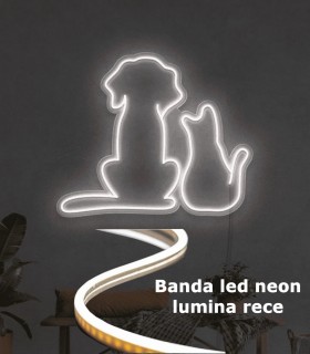 Banda led Neon lumina Rece